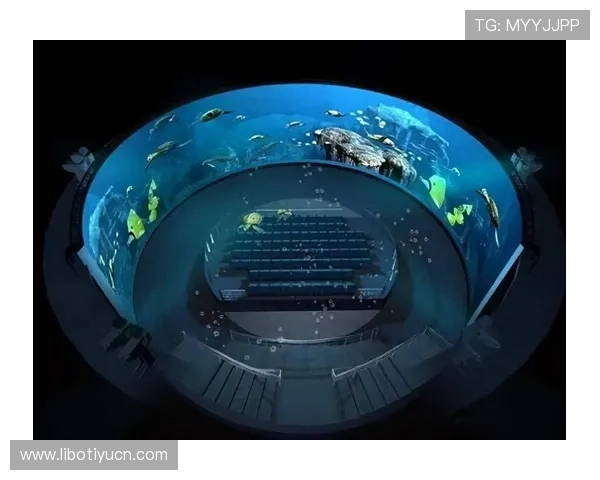 米兰体育网页版引入虚拟现实技术带来沉浸式观赛新体验